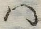 𛂞 위치 확인됨