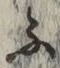 글자 ふ
