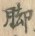Character 脚