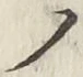 “ノ”字