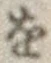 文字 を