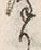 𡨸り