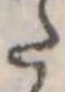 已定位𛁠