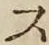 字ス