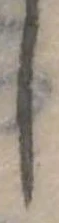 𛁅 위치 확인됨