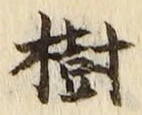 글자 樹