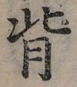 位置定マレル背
