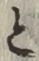 “と”字