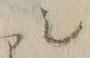 “ア”字