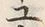 글자 ユ