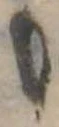 미지정 위치 확인됨