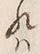 文字ハ