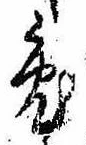 Located 兎