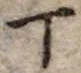 「丁」字