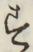 글자 す