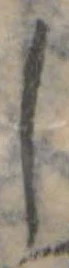 𛁅 위치 확인됨