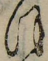 位置定マレル𛂻