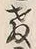 文字教