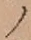“ノ”字
