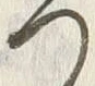 「つ」字