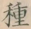 글자 種