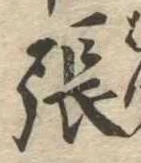 張 위치 확인됨