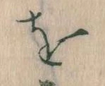 Đã định vị を