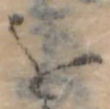 位置定マレル𛄜