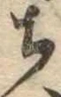 位置定マレル未定