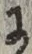 文字 に