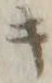 字キ