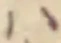 Đã định vị 𛂞
