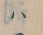 已定位𛂞