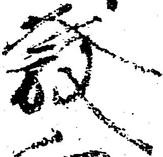 位置 確認된 発