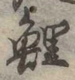 鯉の位置