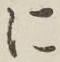 글자 に