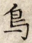 鳥 위치 확인됨