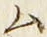 字ム