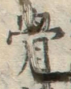 文字骨