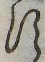 𛁑 위치 확인됨