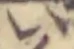 位置 確認된 い