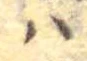𛂞 위치 확인됨