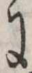 𛂌 위치 확인됨