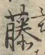 藤 위치 확인됨