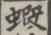 位置 確認된 蝦