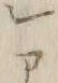 文字レ