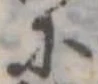 已定位𛂋