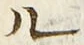 字ル