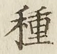 글자 種