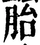 文字胎